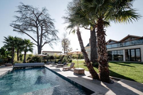- une piscine bordée de palmiers à côté d'une maison dans l'établissement Château Grand-Arnaud, à Vignac