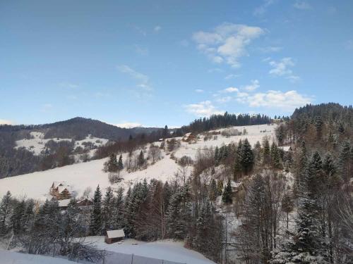 a snow covered hill with trees and houses on it at Wypoczynek u Agnieszki in Ochotnica Górna