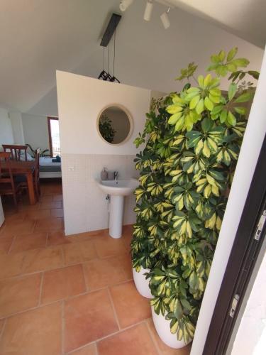 a bathroom with a plant wall next to a sink at Castillo de Villaverde in Villaverde