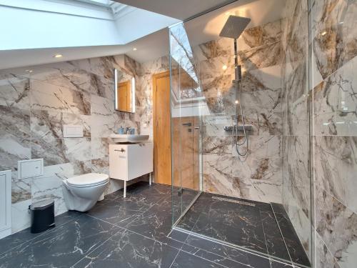 a bathroom with a toilet and a shower at Apartment Purkersdorf bei Wien Top 4 in Purkersdorf