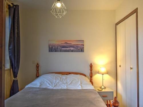 een slaapkamer met een bed en een hanglamp bij Appartement Morzine, 2 pièces, 4 personnes - FR-1-524-55 in Morzine