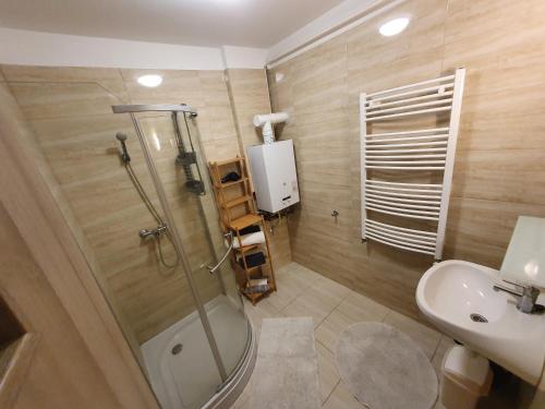 豪伊杜索博斯洛的住宿－Krisy apartman，带淋浴和盥洗盆的浴室