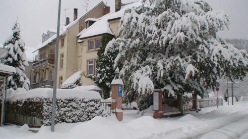 バーデン・バーデンにあるAppartements am Festspielhausの建物前の雪に覆われた木