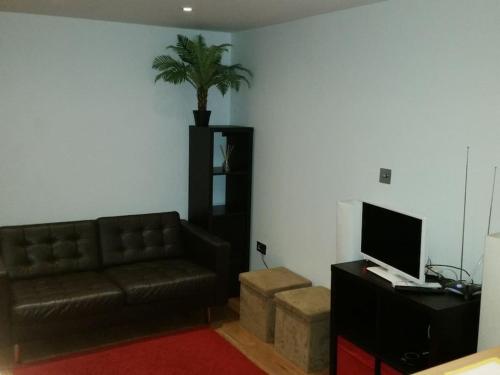 a living room with a couch and a television at LOVELY 1 BED FLAT WITH GOOD TRANSPORT LINKS. in Morden