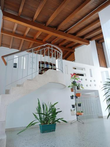 a staircase with potted plants in a white room at Espacio seguro, amplio y acogedor in Medellín