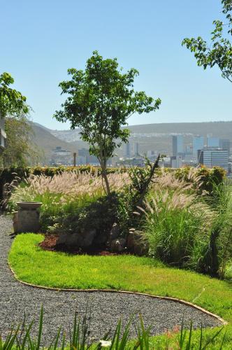 a park with a tree in the middle of a field at Departamentos y Suites Índigo in Querétaro