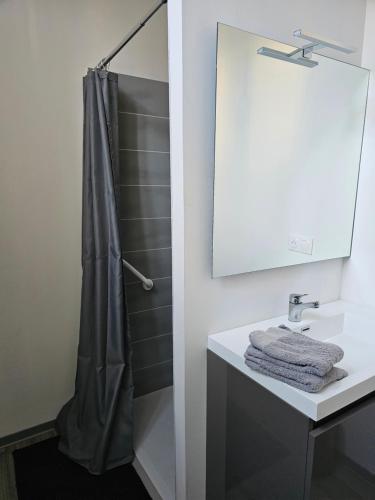 茅爾斯的住宿－Logement centre ville，一间带水槽和淋浴的浴室