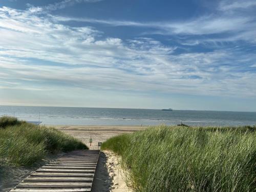 a path to the beach with a boat in the ocean at La Cabane Penthouse in Nieuwvliet-Bad