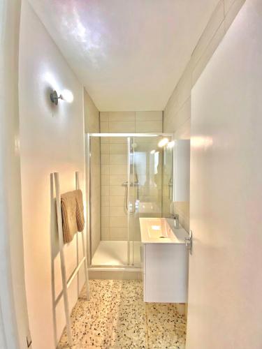 une salle de bain avec douche et lavabo dans l'établissement Appartement Haut de Villa centre-ville CORTE, à Corte