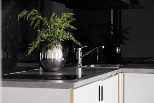 a kitchen sink with a vase with a plant in it at Contemporary 2-BR with Workspace in Kottla