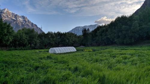 a greenhouse in a field with mountains in the background at Ashuna Hotel & Resort in Kargil