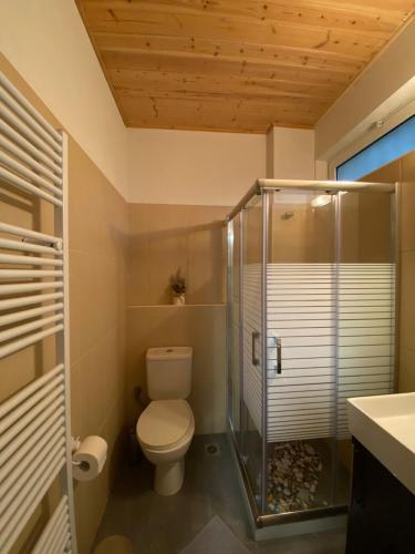 W łazience znajduje się toaleta i przeszklony prysznic. w obiekcie D&M STUDIO ΡΙΟ ΠΑΤΡΑ w mieście Patras