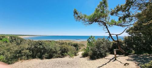 Photo de la galerie de l'établissement Les Quatre Chênes, Beach House, Vert-Bois Dolus d'Oléron, à Dolus-d'Oléron