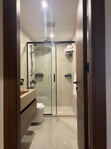 a bathroom with a shower with a toilet and a sink at The Home Boutique Hotel Pyramids Inn in Cairo