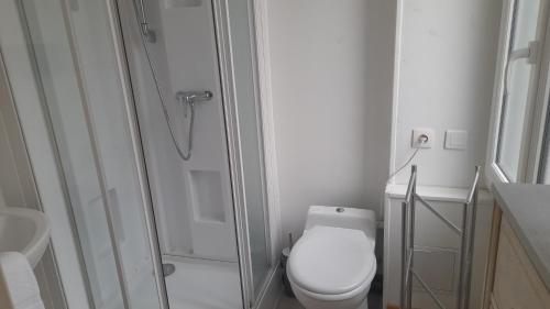 a white bathroom with a toilet and a shower at Chez Eric le n2 in Tours