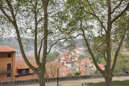 Porto Downtown River