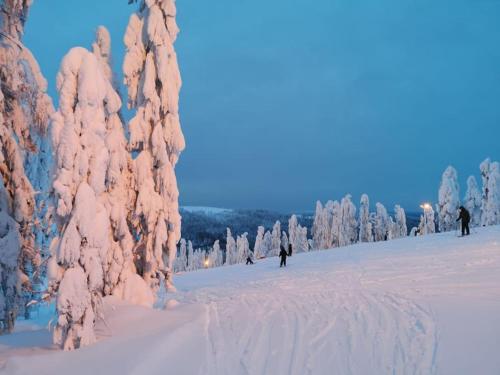 un grupo de personas esquiando por una pista cubierta de nieve en Lapland Riverside Cabin, Äkäsjoen Piilo - Jokiranta, Traditional Sauna, Avanto, WiFi, Ski, Ylläs, Erä, Kala en Äkäsjoensuu