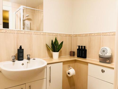 a bathroom with a sink and a mirror at Spacious City Centre flat free parking& superfast WIFI in Edinburgh