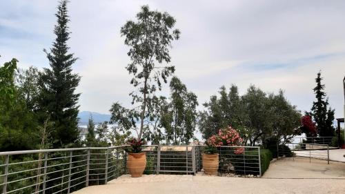 a fence with potted plants and trees on it at Stone House in olive grove in Tolo