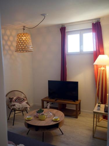 Televisyen dan/atau pusat hiburan di Ecolodge Appartements 2 pièces cosy gare