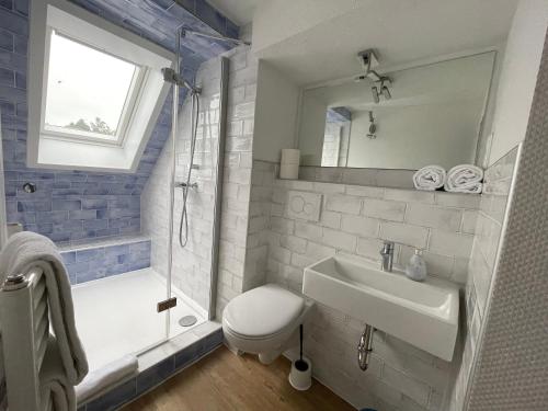 ein Bad mit einem Waschbecken, einer Dusche und einem WC in der Unterkunft Haus Hohensee in Clausthal-Zellerfeld
