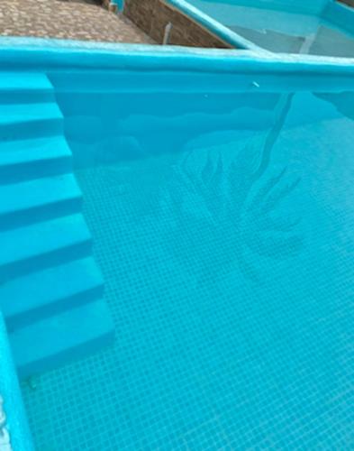a blue swimming pool with a plant in the water at Hotel Villa del Mar in Tonalá
