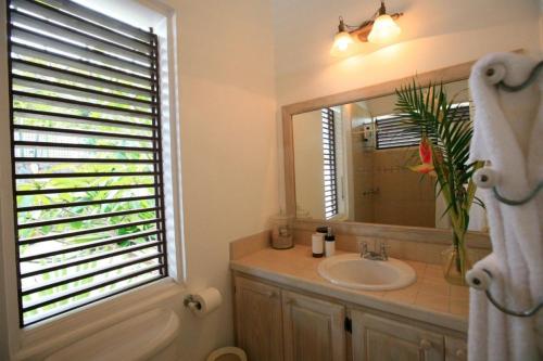 a bathroom with a sink and a mirror and a window at Beautiful 3 BR Villa in Cap Estate in Cap Estate