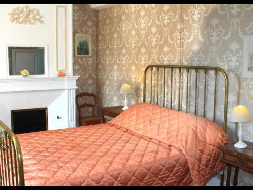 a bedroom with a bed with an orange comforter and a fireplace at Gîte Ri, 4 pièces, 6 personnes - FR-1-497-193 in Ri