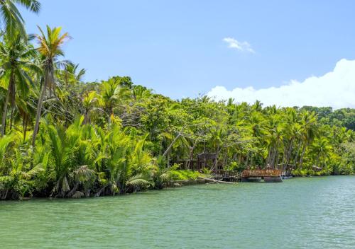 a group of palm trees on a body of water at Puerto Bianco Private Residence Collection in Copala