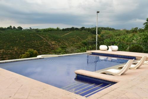 einen Pool mit Blick auf einen Weinberg in der Unterkunft Finca Hotel Los Girasoles in Montenegro