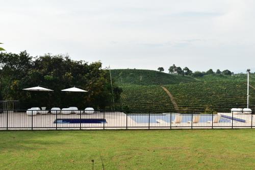 a fence with chairs and umbrellas next to a pool at Finca Hotel Los Girasoles in Montenegro
