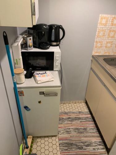 une petite cuisine avec une cuisinière et un micro-ondes dans l'établissement F1 gare saint jean, à Bordeaux