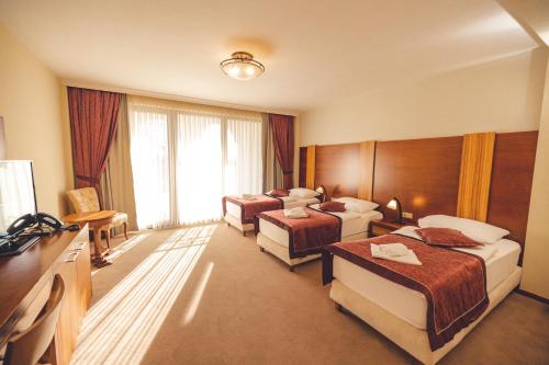 um quarto de hotel com duas camas e uma televisão em Etno selo Stanišići Hotel Ras em Dijelovi