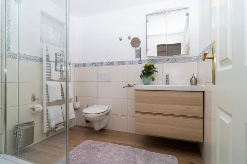 a bathroom with a toilet and a sink and a mirror at Ferienhof Radlandsichten in Malente