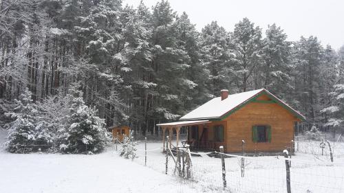 a small wooden cabin with snow on the roof at Agroturystyka Polana Harmonii in Przytoczna 