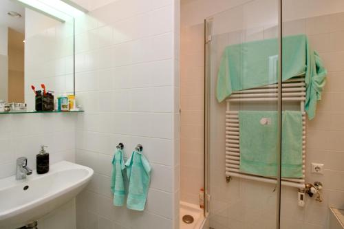 ein Bad mit einer Dusche und einem Waschbecken in der Unterkunft Schloss Hollenburg Aparte Apartments in Krems an der Donau