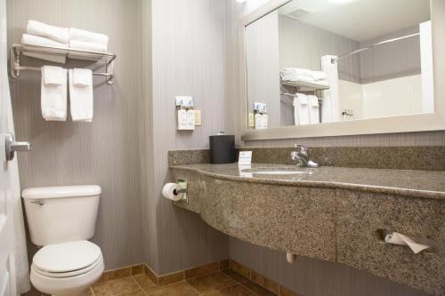 ein Badezimmer mit einem WC und einem Waschbecken mit einem Spiegel in der Unterkunft Holiday Inn Express Jackson, an IHG Hotel in Jackson