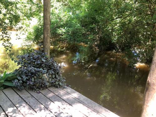 a body of water with trees and a wooden bridge at La Tiny in Tigre