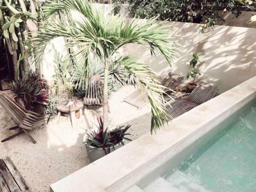 Kolam renang di atau dekat dengan Hotel Boutique KAA