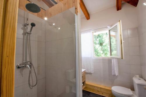 a bathroom with a shower and a toilet at BAVELLA VISTA in Zonza