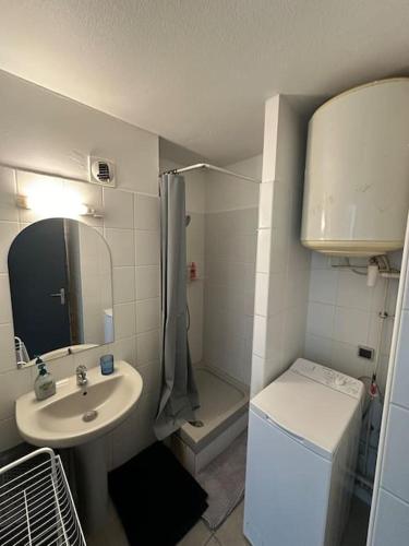La petite salle de bains est pourvue d'un lavabo et d'une douche. dans l'établissement Appartement F2, à Fort-de-France