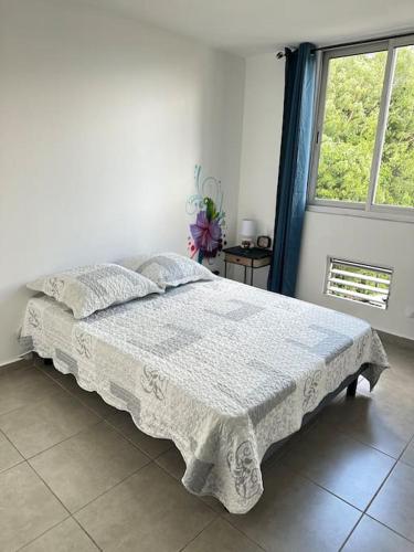 1 dormitorio con 1 cama en una habitación con ventana en Appartement F2 en Fort-de-France