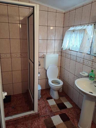 a bathroom with a toilet and a sink at Casa da Queijaria in Faja Grande