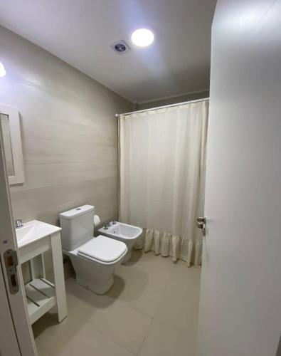a bathroom with a toilet and a sink and a shower at LA VIZNAGA in Concepción del Uruguay