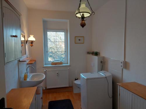 een badkamer met een wastafel, een toilet en een raam bij Roter Milan in Kaisitz