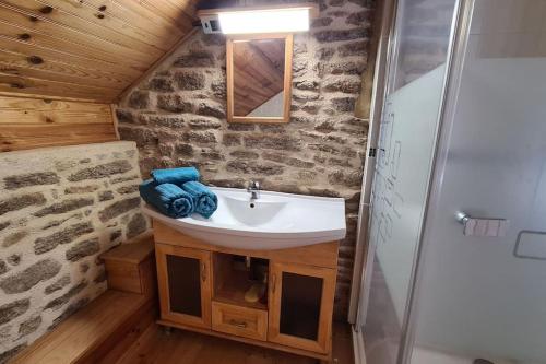 une salle de bain avec un lavabo et une douche dans l'établissement Les gîtes du Kokopelli : Maupiti, à Plumelec