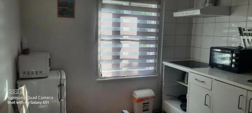 małą kuchnię z lodówką i oknem w obiekcie Appartment in Nida w mieście Nida
