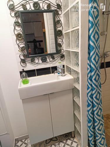 une salle de bain avec un lavabo blanc et un miroir dans l'établissement Appartement avec Terrasse, à Blois