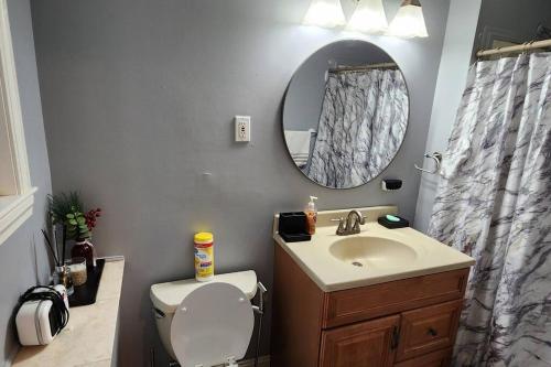 a bathroom with a toilet and a sink and a mirror at Beautiful & Cozy one Bedroom Apartment near Boston & Airport in Saugus