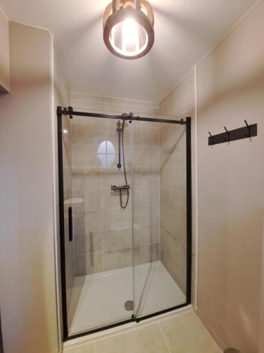 a shower with a glass door in a bathroom at B&B Fragaria in Hoogstraten